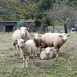 Rurales Tin Turismo