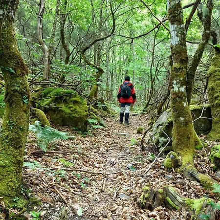 Rurales Tin Turismo