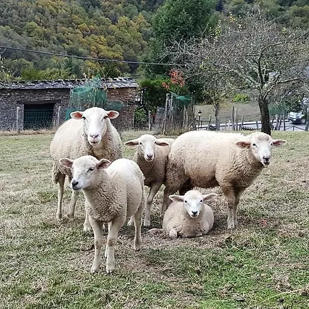 Rurales Tin Turismo